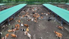 <b>甘肅康樂：山風涼 燒烤熱 日子旺</b>